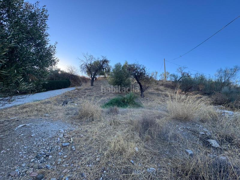 Foto 0a957818-c090-422d-aebc-31280a847381. Finca rústica a Diseminados Rincón de la Victoria
