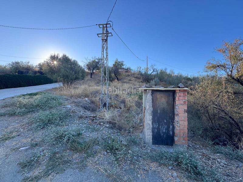 Foto 6693290e-da73-4167-8c25-34dd150ab3b6. Finca rústica a Diseminados Rincón de la Victoria