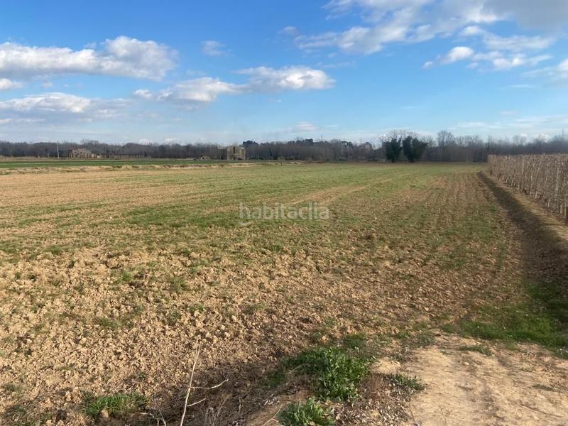 Foto c79f105e-6b03-4643-83e9-22a800d30912. Finca rústica a Balaguer