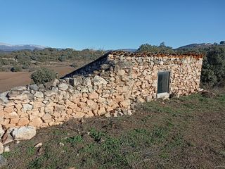 Mas�a en Avellanes i Santa Linya (Les). Ref.563 casa rustica con terreno (les avellanes i santa linya)