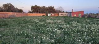 Finca rústica a Balaguer. Ref. 640 terreno en venta - balaguer (lleida)