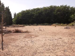 Terreny residencial a Carrer mestral 5. Ref. 672 fincas en venta - el tarros (lleida)