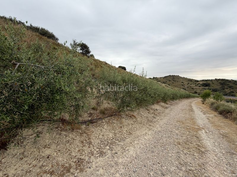 Foto 646b9d3d-d554-4ca6-81b8-95fac7871070. Finca rústica a c-12 5 a Balaguer