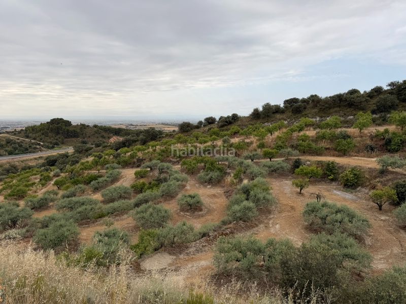 Foto 72617462-14d1-48b8-9c72-3a7482cb3705. Finca rústica a c-12 5 a Balaguer