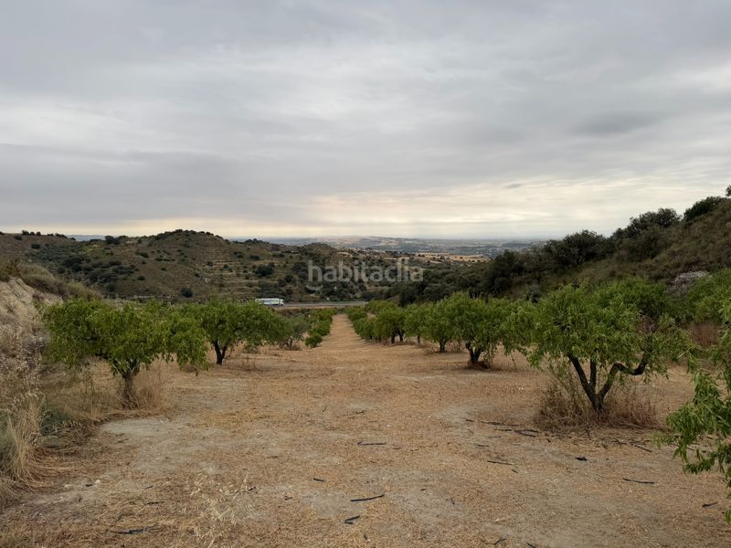 Foto da26c888-beaf-435d-8873-7ccbb01f6b20. Finca rústica a c-12 5 a Balaguer