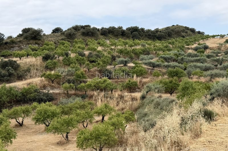 Foto f0d8bf3b-5fa0-40ff-8c01-06812a33e0f6. Finca rústica a c-12 5 a Balaguer