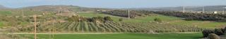 Finca rústica  Carretera de lleida