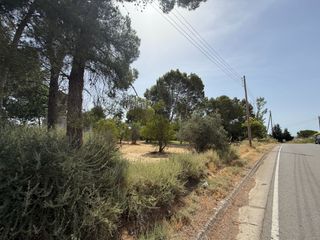 Terreny residencial a Camí de lleida 14