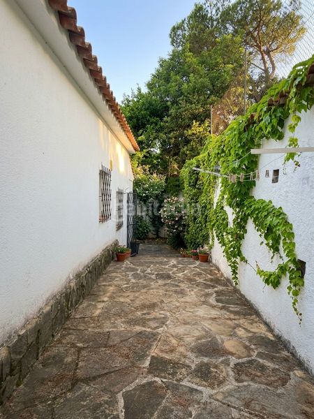Foto 0aaff5e9-521f-4544-a8dc-9b54619bb2ac. Casa amb aparcament a Cabrils