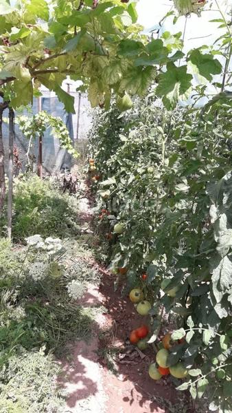 Foto 10d5132c-3d02-4cbc-9e48-caae3b9356bb. Terreny residencial a Salomó