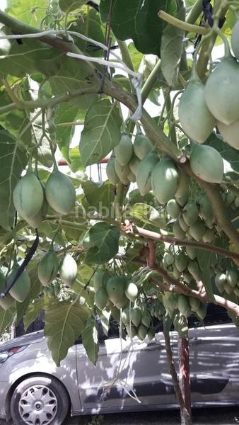 Foto 828e2e43-d79d-40eb-a541-395cbbe1259e. Terreny residencial a Salomó