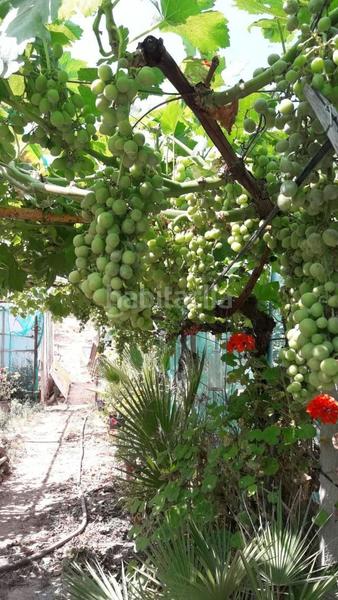 Foto d75c09e0-013a-457a-b513-cc853e4cb0c6. Terreny residencial a Salomó