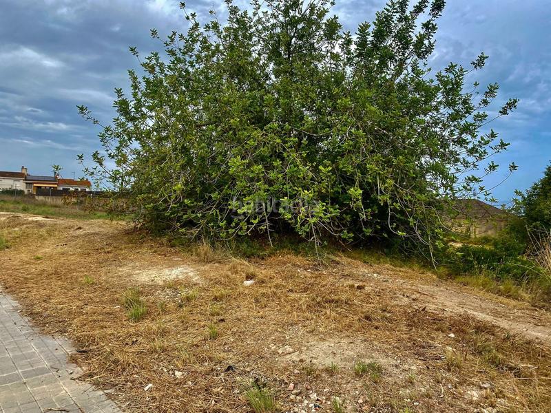 Foto 38e99b5e-423f-4795-9647-9c948937ee50. Terreno residencial solar urbano en la nou de gaia en Nou de Gaià (La)