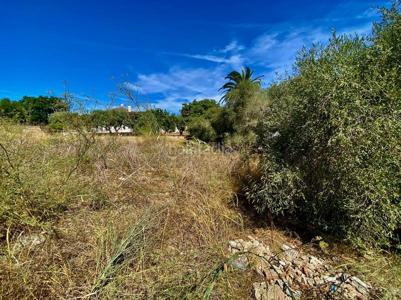 Foto 6475ba73-28bf-4981-95b0-1534709a01e5. Terreno residencial solar urbanizable en brisas del mar, en Altafulla