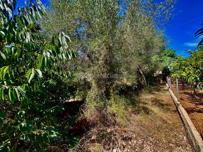 Foto f6c2d273-8156-428d-8287-fdd10eb00f38. Terreno residencial solar urbanizable en brisas del mar, en Altafulla