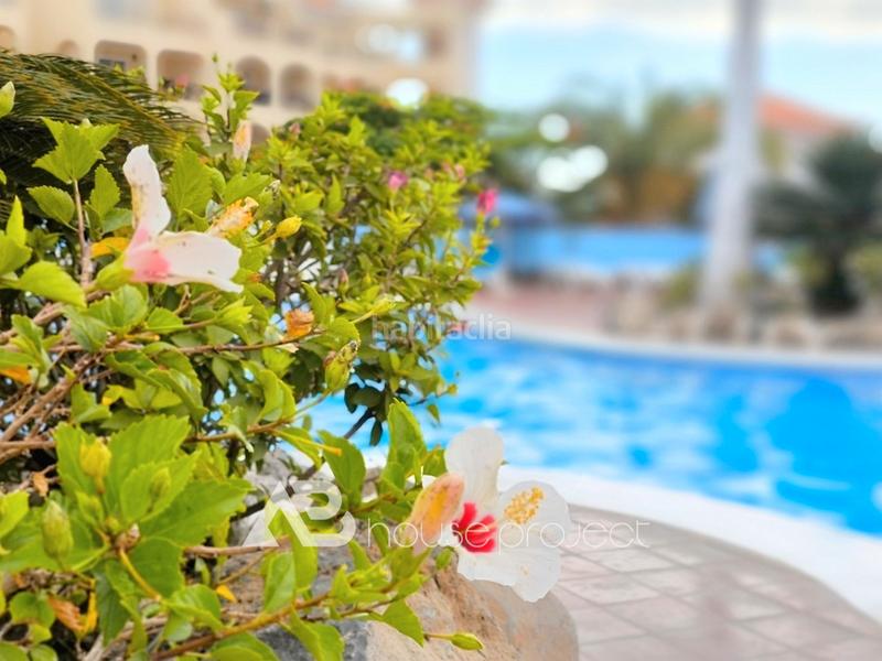 Foto ddfb222a-e3dc-4050-a200-1d5b177b62a8. Appartamento con piscina in Los Cristianos Arona