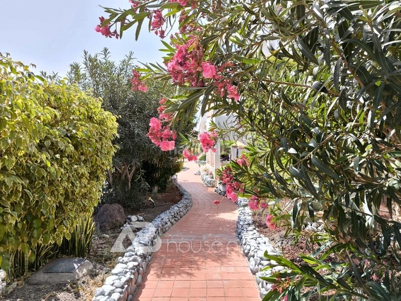 Foto 0cf2e25a-92db-44f0-9a81-e3787317e02c. Flat with parking pool in Golf del Sur - Amarilla Golf San Miguel de Abona