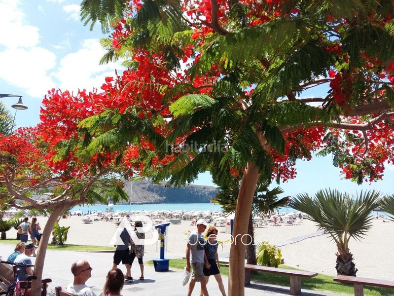 Foto 25a14bf9-6063-4cc2-8b38-53aad8c9e4e8. Pis amb aparcament piscina a Los Cristianos Arona