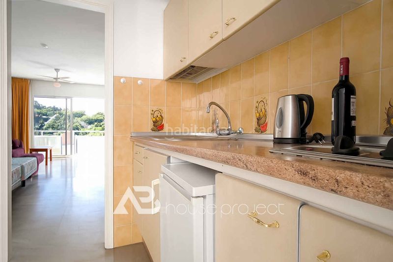 Foto ed7c7e48-7bf3-433b-97a7-c35c9094e838. Estudi a pasaje austria 9m a San Eugenio Alto Adeje