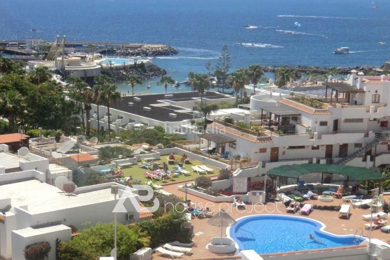 Foto 950ddc4e-f9fd-47b1-93a2-4b3882dc8259. Estudi amb piscina a San Eugenio Bajo Adeje