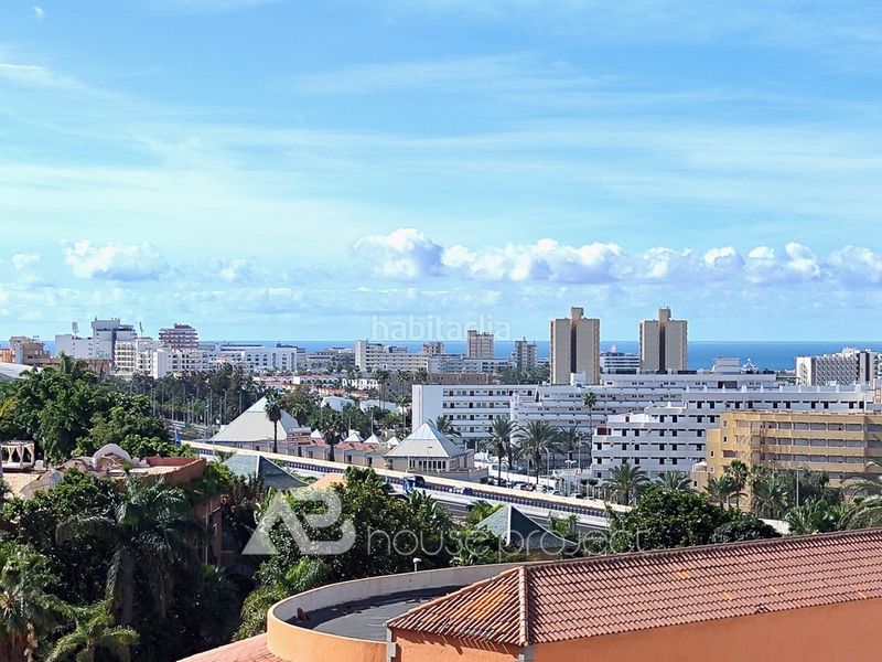 Foto f70090b1-f439-485c-be7e-58d2218949a7. Estudio en pasaje austria 9m en San Eugenio Alto Adeje