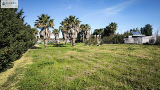 Finca rústica a El Juncal - Vallealto. Terreno en venta en doña blanca