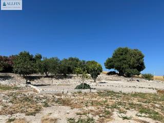 Fondo rustico in Arcos de la Frontera. Terreno en rustico arcos