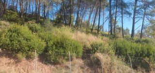 Residential Plot in Corbera de Llobregat. Terreno en urbanización can coll de corbera de llobregat