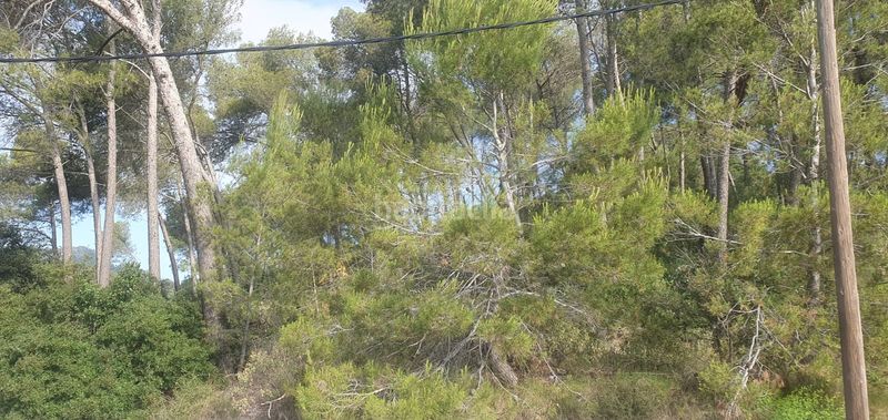 Foto 9d3db9f1-021a-4b84-90bb-23cf3597a3ff. Terreny residencial a Corbera de Llobregat