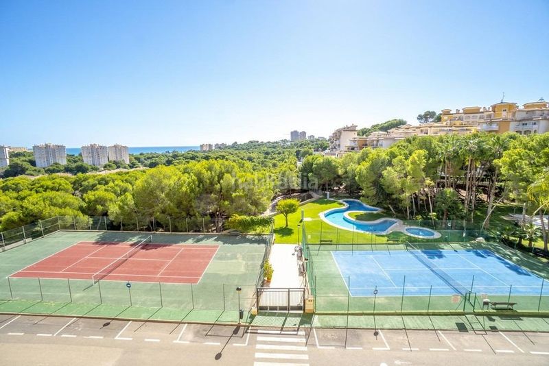 Foto d4166f6a-716b-4ea8-a042-76ddffe863be. Apartament amb piscina a Campoamor Orihuela