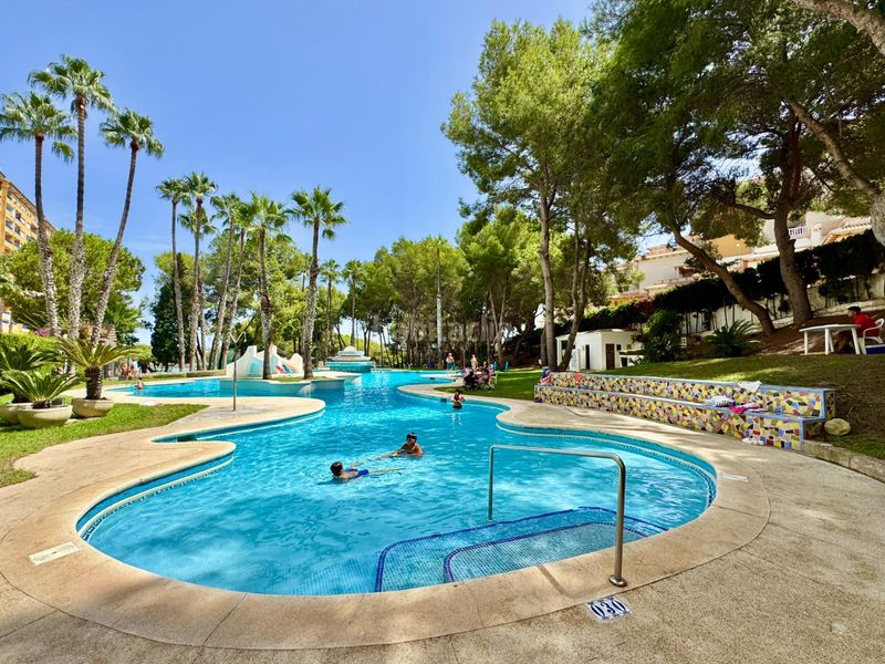 Foto b845c7ae-377e-4ee2-a492-93257d3245d4. Pis amb calefacció piscina a Campoamor Orihuela