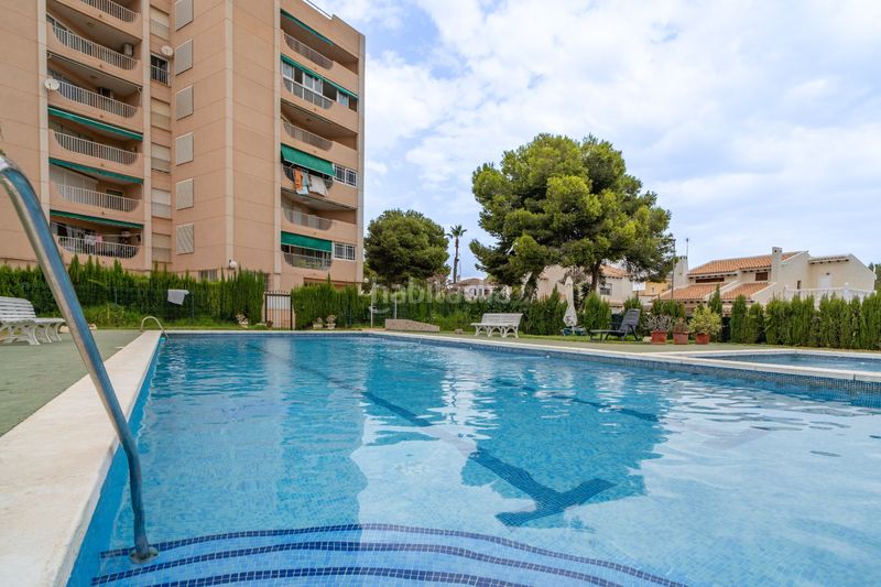 Foto 18ad06cf-a7aa-4e4d-b95b-e6e916bd4c2b. Pis amb calefacció aparcament piscina a La Regia Orihuela