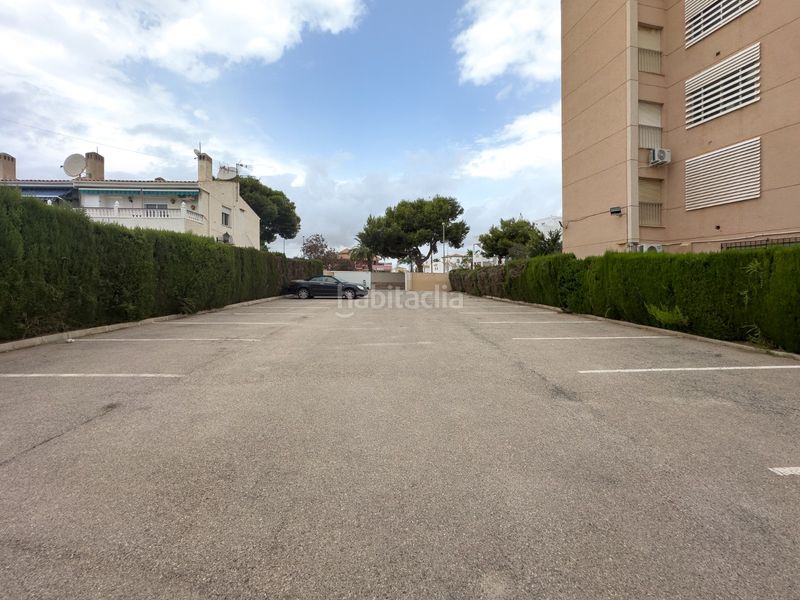 Foto c582264c-a126-4b20-a4c8-461ca129e7ac. Pis amb calefacció aparcament piscina a La Regia Orihuela