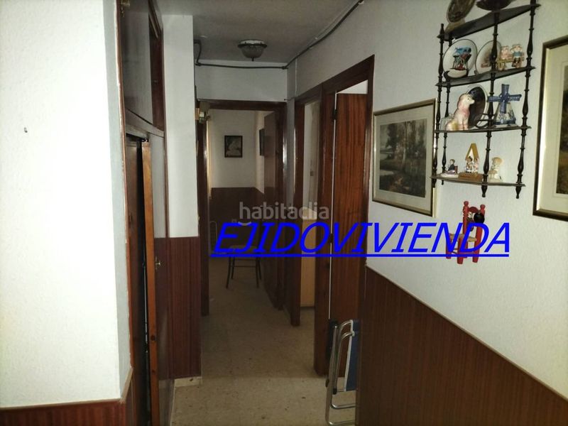 Foto 08c1e878-e589-4d70-8c26-6bc60c0689b5. Pis a Balanegra