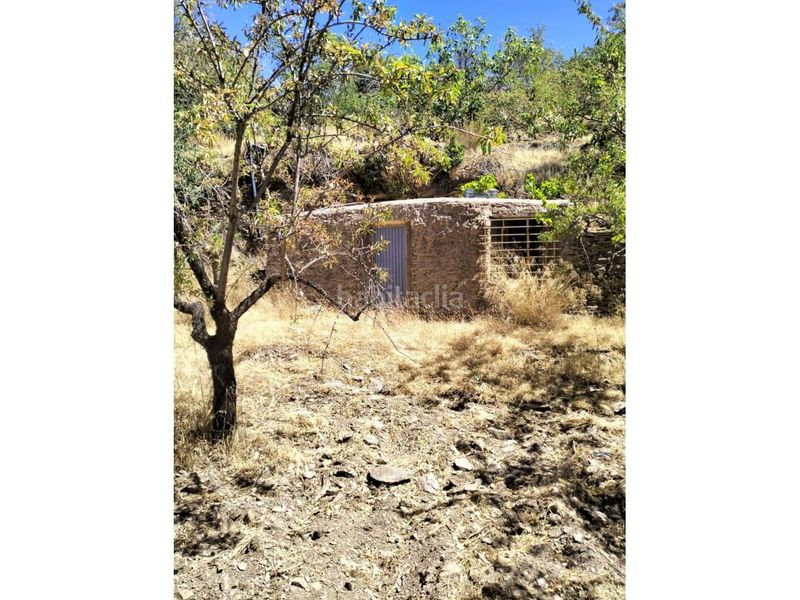 Foto 78eff8d4-7685-4271-8828-82d41f9e320b. Finca rústica a Paterna del Río