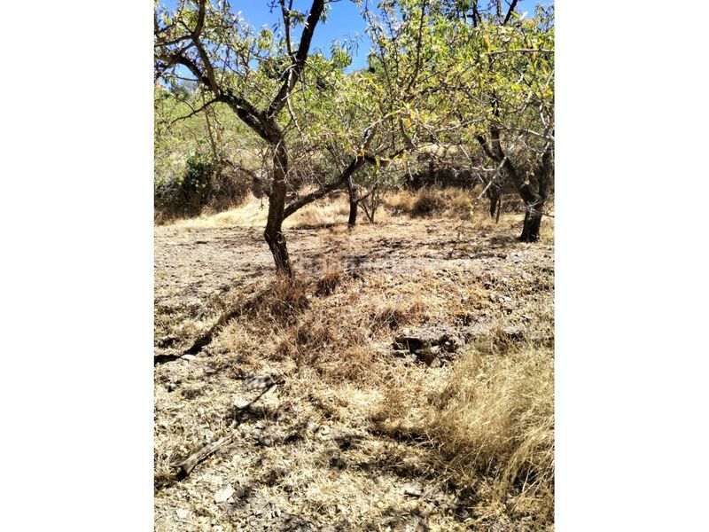 Foto 7cca8b24-ccde-40c8-b693-fe77ef19f16d. Finca rústica a Paterna del Río