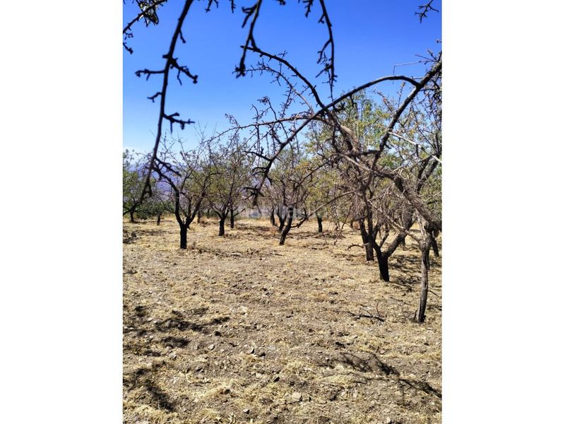 Foto ce3f5c28-f2d9-4ba7-98fc-abbb691fd17f. Finca rústica a Paterna del Río