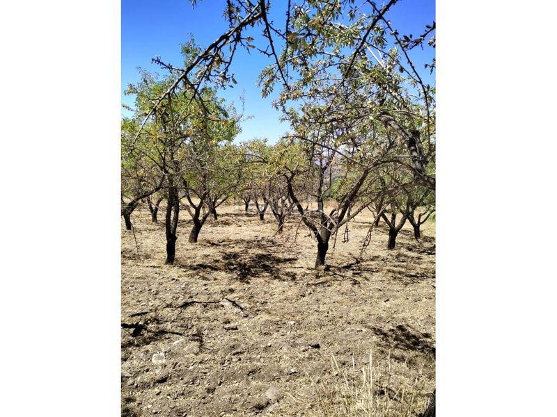 Foto d8d6d712-925b-4ee0-a887-b739e80571e8. Finca rústica a Paterna del Río