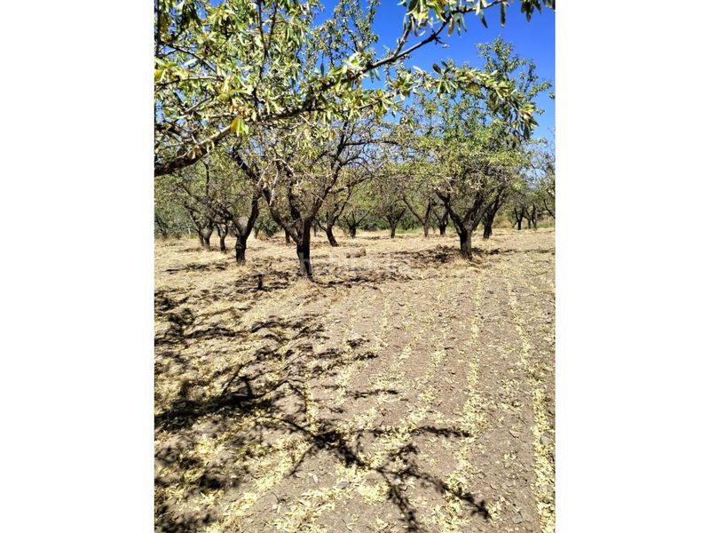 Foto e331b412-3d3c-4cce-b548-1fd3e79d8591. Finca rústica a Paterna del Río