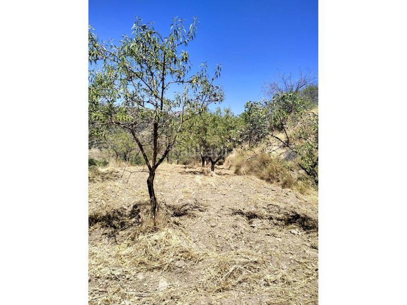 Foto f78134c4-7044-48ca-8c10-ef0e0d0009c1. Finca rústica a Paterna del Río