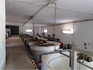 Propriété à Adra. Finca rustica 18ha