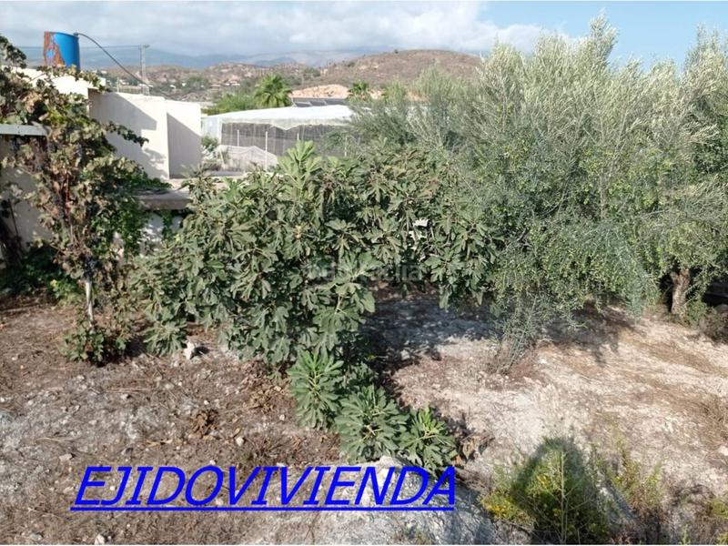 Foto 1644270d-1246-468d-a6dd-83de8c7cf27b. Finca rústica a Berja