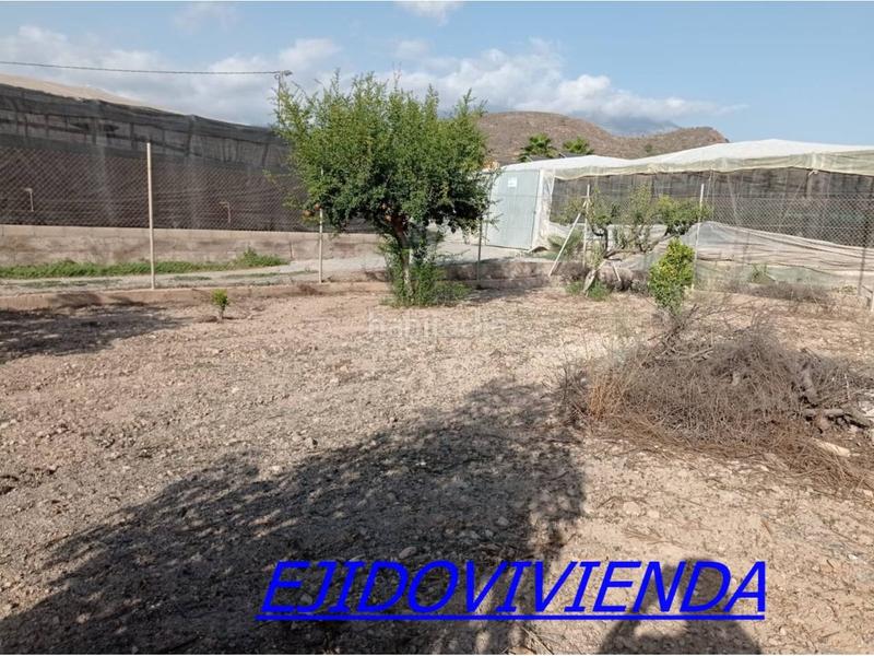 Foto 2e2544ca-e6ee-4ea2-8405-712f2ecc3aa1. Finca rústica a Berja