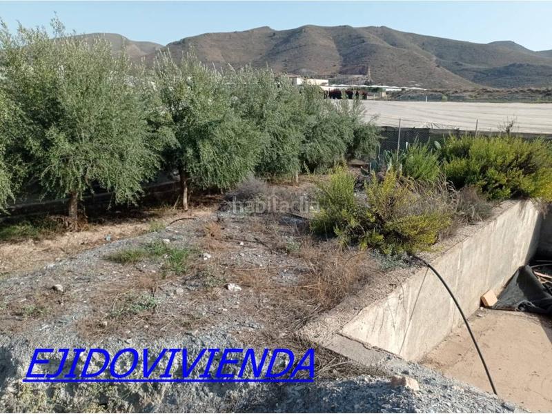 Foto 75de05e3-fb35-4d2f-ae9b-0dce56935fb1. Finca rústica a Berja