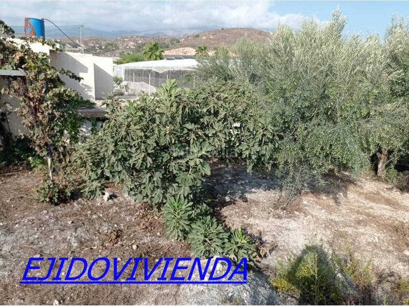 Foto 8b63049d-d302-48bf-a8e8-87d386504ee6. Finca rústica a Berja