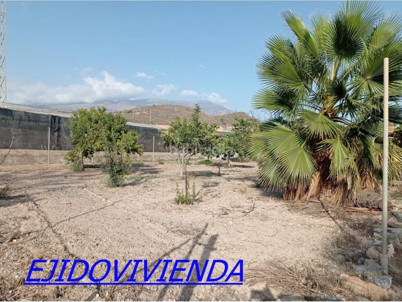 Foto 9e7a86c3-dbd4-4487-87f2-c8c83903571e. Finca rústica a Berja