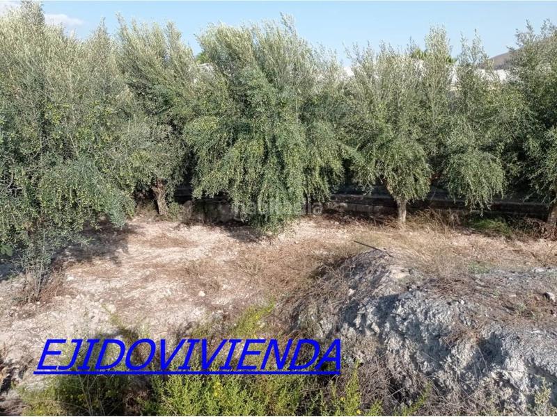 Foto abd7f538-1ae8-4fe2-b051-68a61c03df2c. Finca rústica a Berja