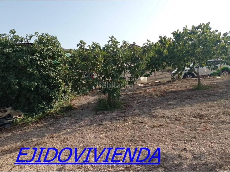 Foto d0793938-e1f3-400b-9030-5b611ace7d68. Finca rústica a Berja