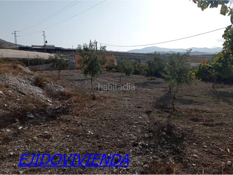 Foto f436f0db-220e-4254-a3ac-d1e4ac734c9a. Finca rústica a Berja