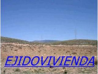 Finca rústica a Alcolea. Finca rustica en venta en alcolea